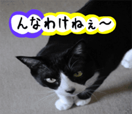sticker japan cat&gin Photo version 3 sticker #13685789