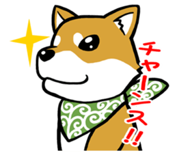 THE SIBAINU sticker #13685975