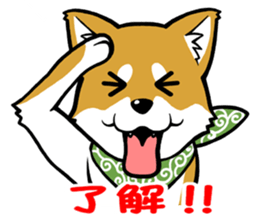 THE SIBAINU sticker #13685976