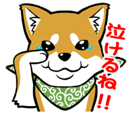 THE SIBAINU sticker #13685984