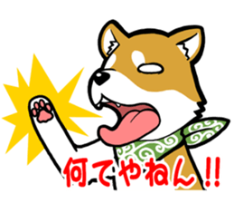 THE SIBAINU sticker #13685985