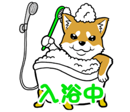 THE SIBAINU sticker #13685987