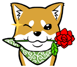 THE SIBAINU sticker #13685999