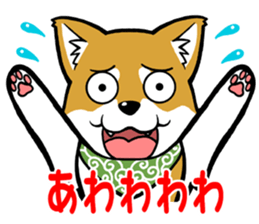 THE SIBAINU sticker #13686003