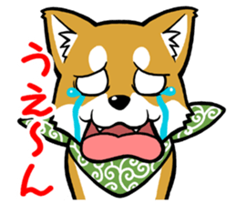 THE SIBAINU sticker #13686004