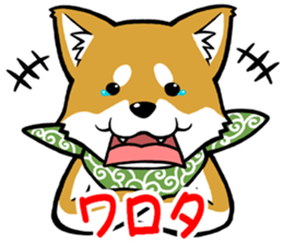 THE SIBAINU sticker #13686011