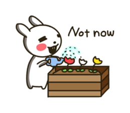 actually friendly rabbit - English - sticker #13686293