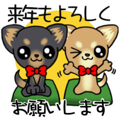 Short hair puppy's New Year!