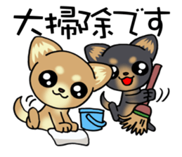 Short hair puppy's New Year! sticker #13687024