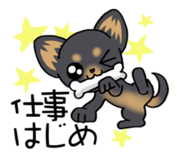 Short hair puppy's New Year! sticker #13687034