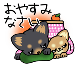 Short hair puppy's New Year! sticker #13687037