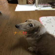 Mi-chang sticker #13687622