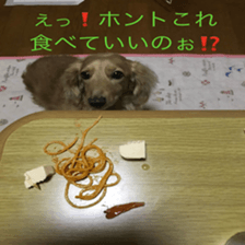 Mi-chang sticker #13687623