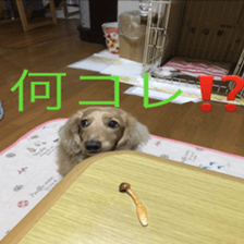 Mi-chang sticker #13687628