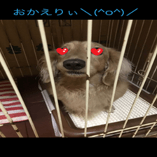 Mi-chang sticker #13687629