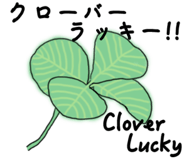 Communication in the language of flowers sticker #13688527