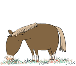 Various horse sticker #13689210