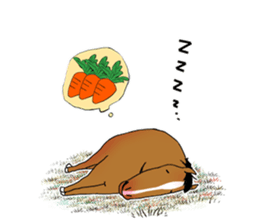 Various horse sticker #13689222