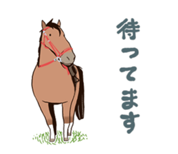 Various horse sticker #13689227