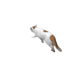 A stray cat moves. sticker #13689775