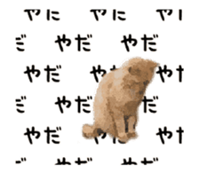 A stray cat moves. sticker #13689779