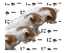 A stray cat moves. sticker #13689793