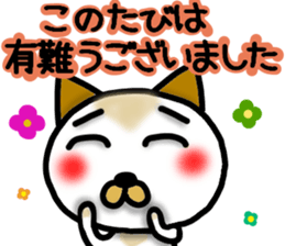 Capital letter greeting cat sticker #13690803