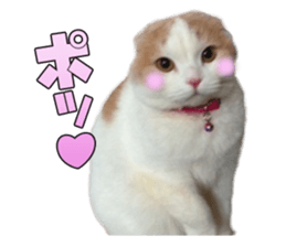 Funny Cats Cartoon 1 sticker #13690982