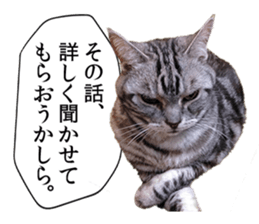 Funny Cats Cartoon 1 sticker #13690983