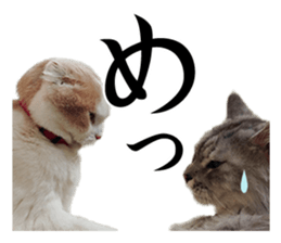 Funny Cats Cartoon 1 sticker #13690984