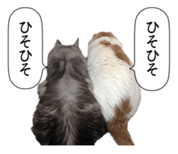 Funny Cats Cartoon 1 sticker #13690985