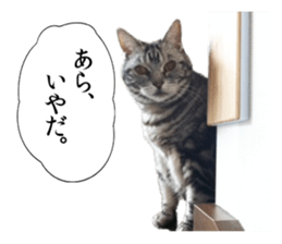 Funny Cats Cartoon 1 sticker #13690986