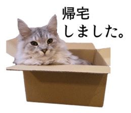 Funny Cats Cartoon 1 sticker #13690988