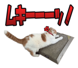 Funny Cats Cartoon 1 sticker #13690989