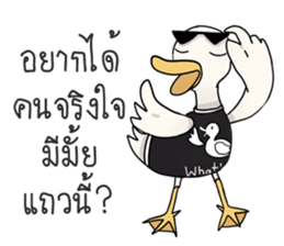The trolling dudk sticker #13691362