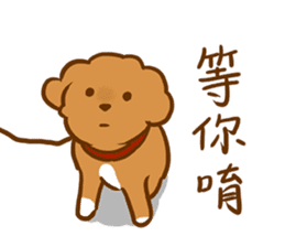 Cutie Puppy Of Paradise sticker #13692230
