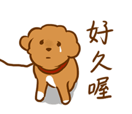 Cutie Puppy Of Paradise sticker #13692231