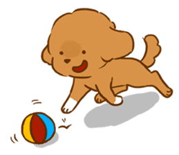 Cutie Puppy Of Paradise sticker #13692254