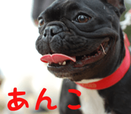 Anko Mochi 1 sticker #13692647