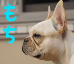 Anko Mochi 1 sticker #13692648