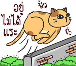 funny..cat sticker #13692695