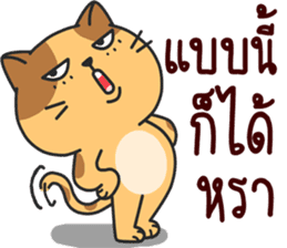 funny..cat sticker #13692703