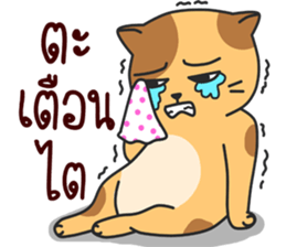 funny..cat sticker #13692715