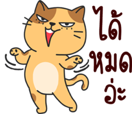 funny..cat sticker #13692716