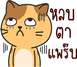 funny..cat sticker #13692724