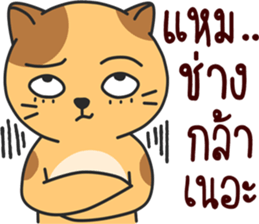 funny..cat sticker #13692727