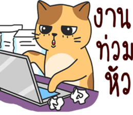 funny..cat sticker #13692729