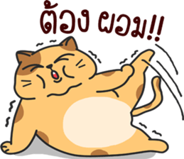 funny..cat sticker #13692730