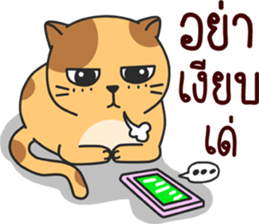 funny..cat sticker #13692732