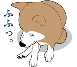 Illustration of SHIBA INU realistic sticker #13693086